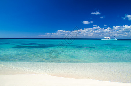 蓝色泼洒状美丽的海滩和热带背景