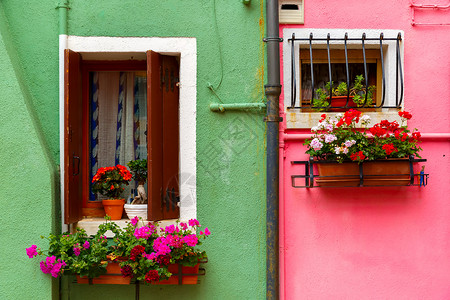 粉房子在意大利威尼斯著名的布拉诺岛粉和绿墙房屋上装有百叶窗和鲜花的玻璃背景