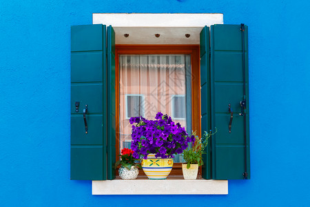 在著名的意大利威尼斯岛布拉诺的蓝色房屋墙上有百叶窗和鲜花的图片口背景图片