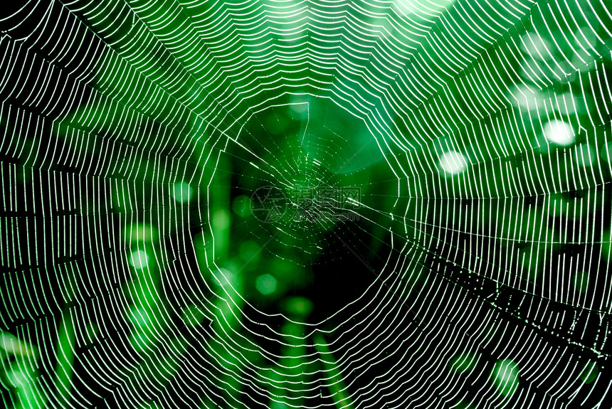 蜘蛛网设计要素图片