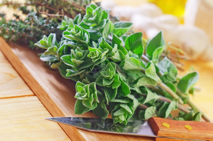 带百里香的食植物图片