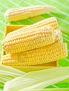原玉米图片