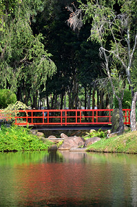 位于新加坡的花园红桥图片