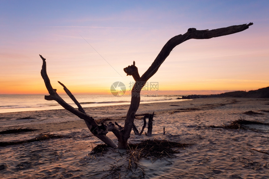 美国南卡罗来纳州詹姆斯岛Folly海滩日出图片