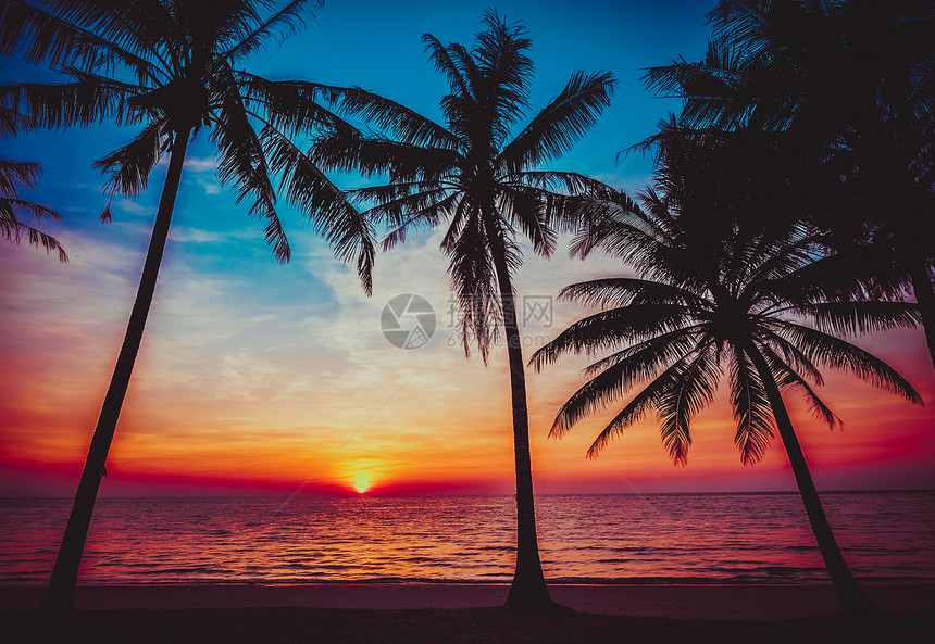 日落热带海滩美丽的日落图片