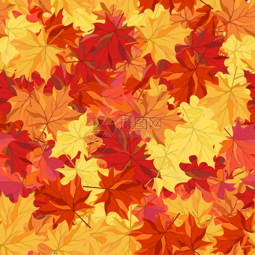 秋天的树叶图案背景图片