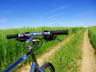 田间阳光明媚的白天骑自行车图片