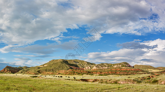 红山开放空间全景北科罗拉多州林斯堡附近山区牧场景观夏季风图片