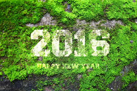 2016字写在旧灰石墙上绿色的苔图片