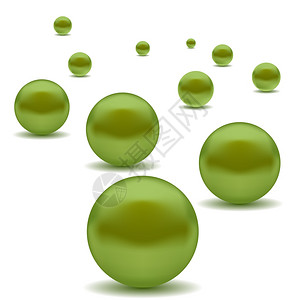 绿珍珠组织图片