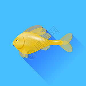 蓝色背景上孤立的海卡通金鱼图片