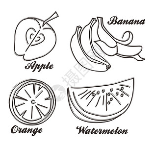 狗枣猕猴桃食品和饮料主题艺术矢量图形设计解食品和饮料主题艺术插画