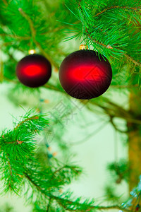 关闭圣诞树装饰品关闭红树装饰品关闭圣诞树装饰品冬季图片