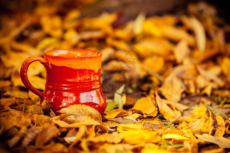 秋天概念落下的黄叶喝着热饮的红杯子图片