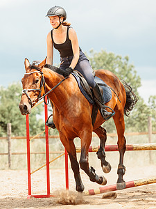 女骑师训练马运动女师训练马跳过栅栏比赛背景图片