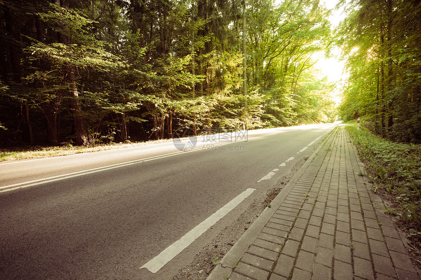 横穿夏季绿林和阳光照的荒凉道路图片