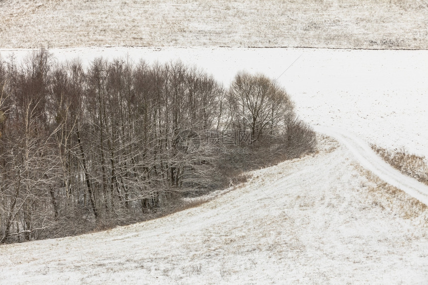 冬季和节特有山地树木覆盖着白新雪图片