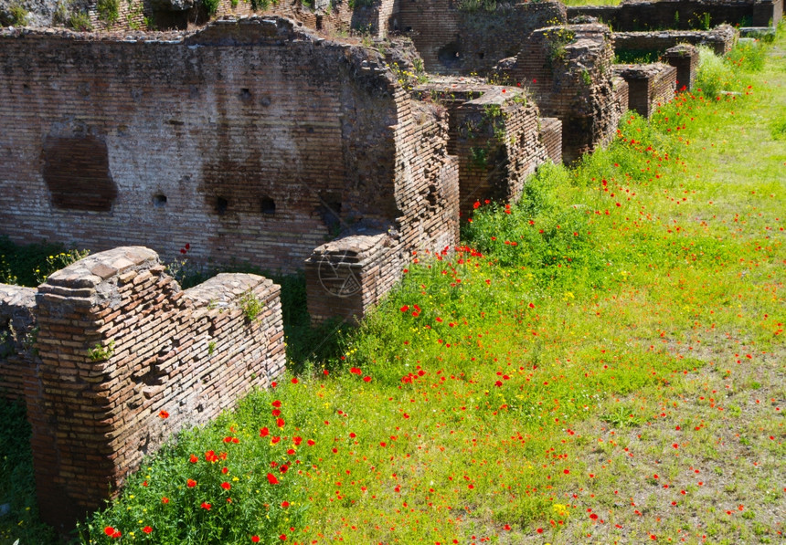 意大利罗马的废墟图片