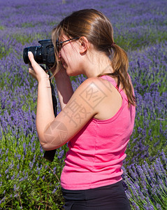 美丽的女人在紫衣植物中拍摄一些紫衣植物的花朵图片