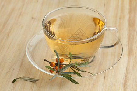 一小杯海角茶配上一枝普通海角茶图片