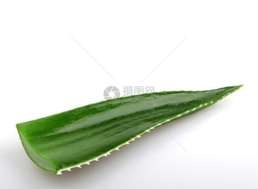 Aloeveraveravera中图片