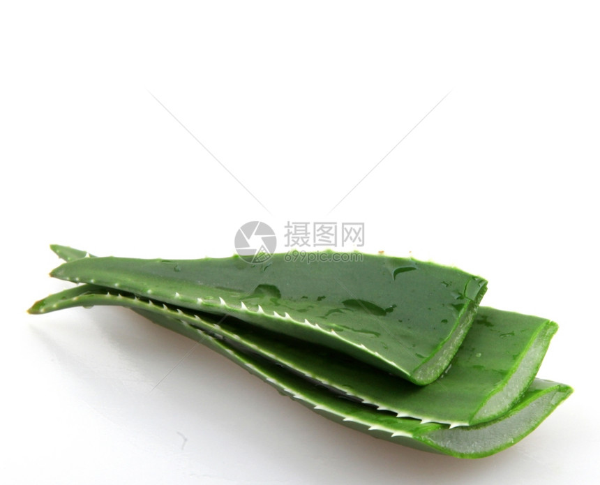 Aloeveraveravera中图片