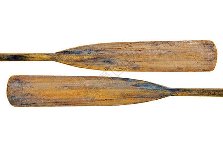 两条带有污渍和裂缝的老木制风化桨孤立叶片图片