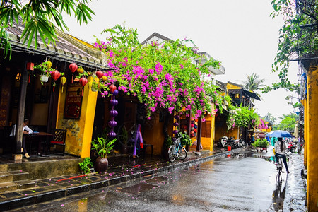 越南HeiAn老城街头景象图片
