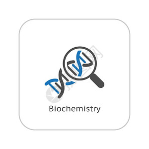 等价生物化学图标插画