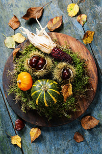 蒸栗子南瓜木板上季节水果和蔬菜的秋天概念背景