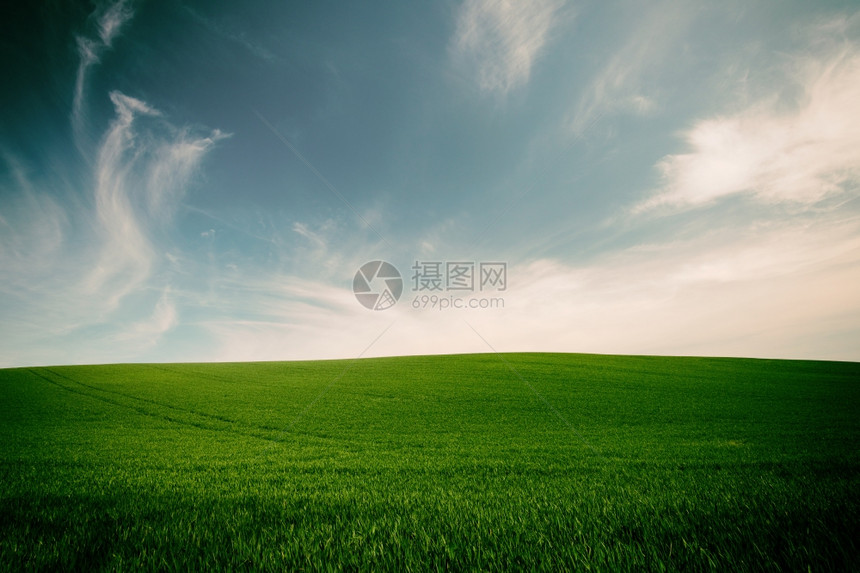 绿色草和蓝天空背景的古老风格图像图片