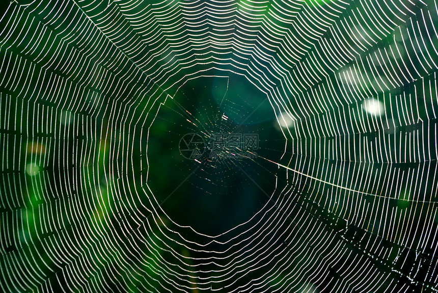 蜘蛛网设计要素图片