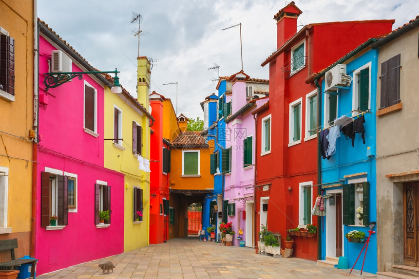 在意大利威尼斯著名的布拉诺岛有多姿彩的房子院里猫图片