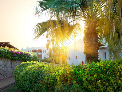 埃及度假酒店的日出亮图片