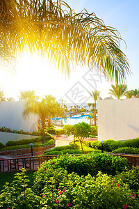 埃及酒店美丽的风景图片