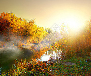 秋天在森林的河上雾图片