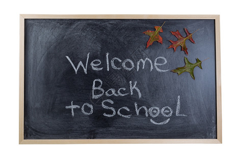纸板上写着欢迎与秋天假期一起回到学校的文本孤立于白色背景中背景图片