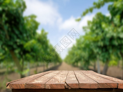 绿葡萄园背景的空桌图片
