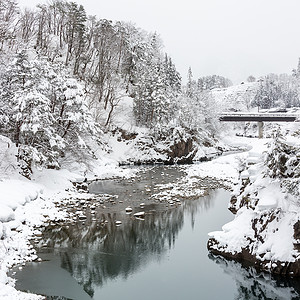 美丽的雪落冬风白川地日本图片