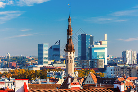 尖顶屋顶爱沙尼亚塔林Tallinn当天背景的摩大厦背景