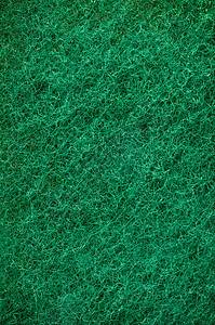 绿色磨海绵纹理背景如草图片