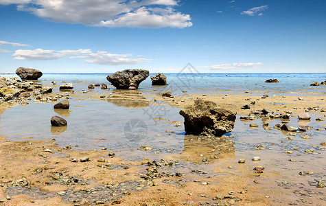 红海滩的低水背景图片