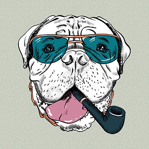 墨镜金链子雪茄卡通可爱的狗插画