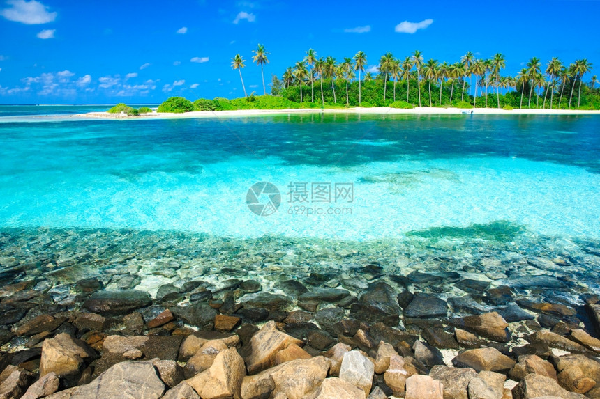 马尔代夫热带海滩棕榈树和蓝色环礁湖的热带海滩很少图片