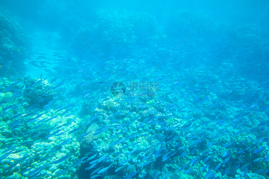 复制空格的水下场景xAxA图片