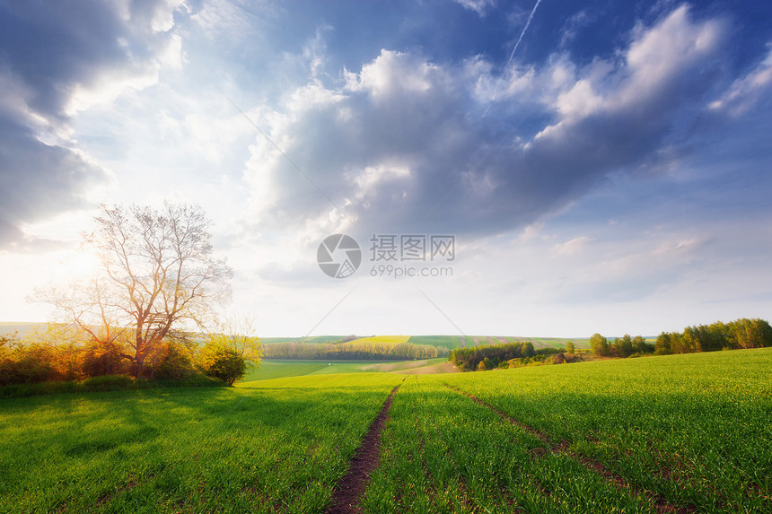 美丽的阳光明媚风景图片