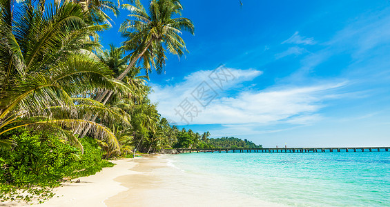 热带海滩和椰子棕榈热带岛屿海滩的天堂景观图片