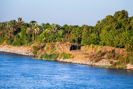 埃及尼罗河图片