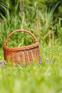 阳光明媚的日子草地上野餐篮子图片