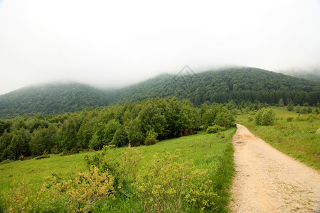 自然与环境美丽的绿山之路夏天的地景观旅行和游图片